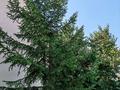 Жеке үй · 3 бөлме · 100 м² · 10 жүзд., Светлая 29, бағасы: 28.5 млн ₸ в Уральске — фото 3