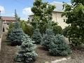 Жеке үй · 8 бөлме · 180 м² · 9 жүзд., Асимова 38 — Тонкуруш, бағасы: 58 млн ₸ в Таразе — фото 26