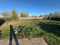 Саяжай · 2 бөлме · 26 м² · 14 жүзд., Пригородное, бағасы: 3 млн ₸ в Костанае — фото 8