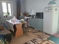 Отдельный дом · 4 комнаты · 130 м² · 6 сот., мкр Шанырак-1, Байторы 8 — Актума за 44 млн ₸ в Алматы, Алатауский р-н — фото 38