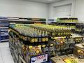 Продуктовый магазин · 250 м² за 70 млн ₸ в Астане, Сарыарка р-н — фото 2