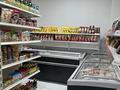 Продуктовый магазин · 250 м² за 70 млн ₸ в Астане, Сарыарка р-н — фото 11