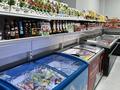Продуктовый магазин · 250 м² за 70 млн ₸ в Астане, Сарыарка р-н — фото 13
