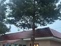 Жеке үй · 7 бөлме · 307 м² · 15 жүзд., Петрова 94 — Абая-Петрова, бағасы: 130 млн ₸ в Таразе — фото 6