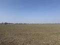 Участок · 1 га, Кирпичная 1 за 180 млн ₸ в Коксай (пути Ильича)