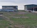 Сельское хозяйство · 400 м² за 90 млн ₸ в Жамбыл (Жамбылский район) — фото 3