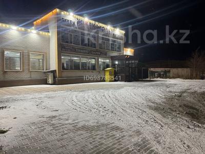 Свободное назначение · 350 м² за 98 млн ₸ в Семее, Красный Кордон