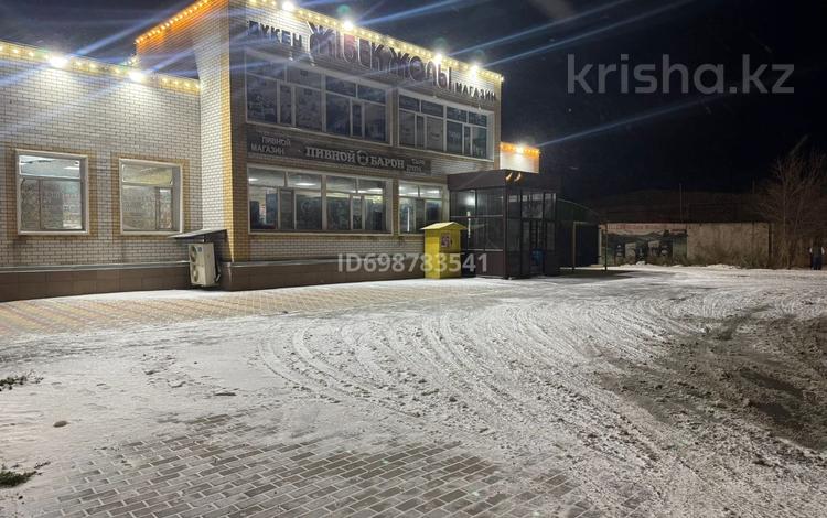 Свободное назначение · 350 м² за 98 млн ₸ в Семее, Красный Кордон — фото 2