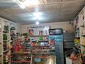 Магазины и бутики • 56 м² за 27 млн 〒 в Шымкенте, Аль-Фарабийский р-н — фото 3