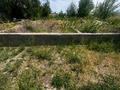 Участок · 10 соток, мкр Северо-Западный дружба 14 — ЗВТ Уяхоз за 7.5 млн ₸ в Талдыкоргане — фото 2
