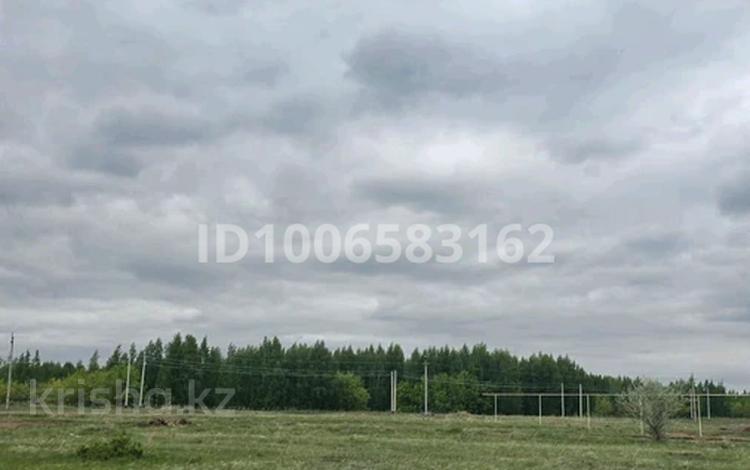 Жер телімі · 10 сотық, Аққайың, бағасы: 15 млн ₸ в Аккайын — фото 8