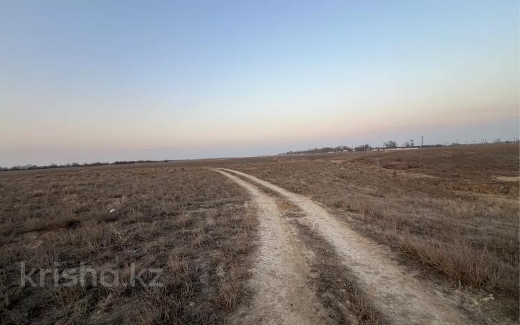 Участок · 10 га, Центральная 2 за 750 млн ₸ в Жаналык (Талгарский район) — фото 2