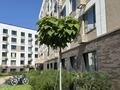 4-комнатная квартира · 128 м² · 1/6 этаж, Кайрат микрорайон за 111 млн ₸ в Алматы, Турксибский р-н — фото 48