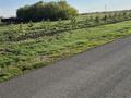 Участок · 10 соток, Тольсыздык — Участок находится между 1м домом и 2м домом за 3.2 млн ₸ в Садовом