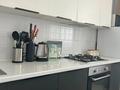 2-комнатная квартира · 66.5 м² · 8/9 этаж, Северное Кольцо 93/2 за 33.6 млн ₸ в Алматы, Алатауский р-н — фото 8
