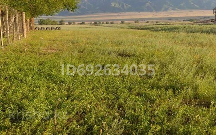 Сельское хозяйство • 70 м² за 18 млн 〒 в Узынагаш — фото 2