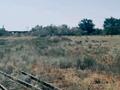 Участок · 1.6 га, Зангар 38 за 220 млн ₸ в Алатау