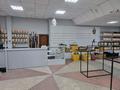 Магазины и бутики • 165 м² за 350 000 〒 в Темиртау — фото 5