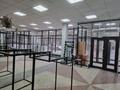 Магазины и бутики • 165 м² за 350 000 〒 в Темиртау — фото 6