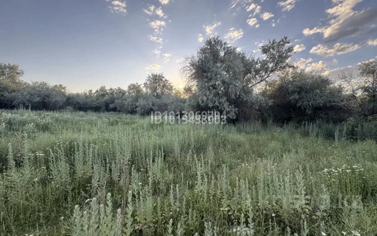 Участок · 10 соток, мкр Северо-Западный — Западный жилой район участок 62Г за 12 млн ₸ в Талдыкоргане — фото 2