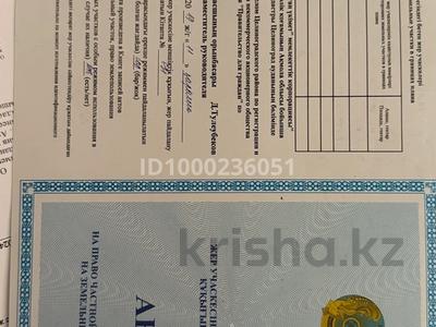 Участок · 32 сотки, Акмолинская область Целинаградский район Софиевский округ 417 за 12 млн 〒 в Софиевке