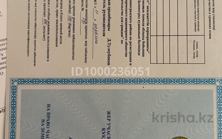 Жер телімі · 32 сотық, Софиевка, бағасы: 8.5 млн ₸ — фото 2