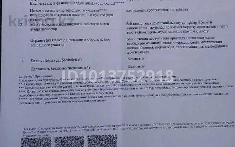 Жер телімі · 1 га, С.о. Кайнарбулакский, бағасы: 18.5 млн ₸ — фото 2