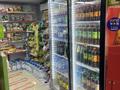 ПРОДАЁТСЯ ГОТОВЫЙ БИЗНЕС — МАГАЗИН · 100 м², бағасы: 12 млн ₸ в Астане, Алматы р-н — фото 9