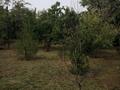 Саяжай · 2 бөлме · 40 м² · 12 сот., Здоровье 59 — С Кыргауылды, бағасы: 22 млн ₸ в  — фото 25