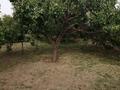 Саяжай · 2 бөлме · 40 м² · 12 сот., Здоровье 59 — С Кыргауылды, бағасы: 22 млн ₸ в  — фото 26