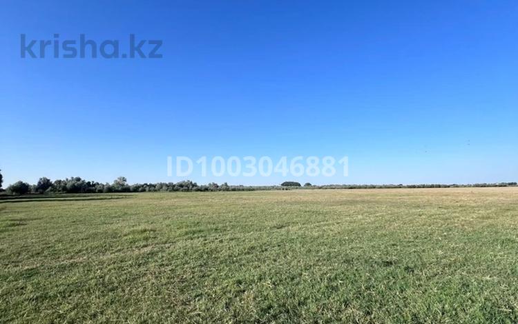 Участок · 25 га, Наурызбай батыра за 120 млн 〒 в Жалкамысе — фото 2