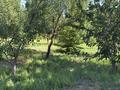 Жеке үй · 6 бөлме · 150 м² · 32 жүзд., Куншуак 4 — Возле школы, бағасы: 35 млн ₸ в Кулане — фото 17