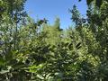 Жеке үй · 6 бөлме · 150 м² · 32 жүзд., Куншуак 4 — Возле школы, бағасы: 35 млн ₸ в Кулане — фото 18