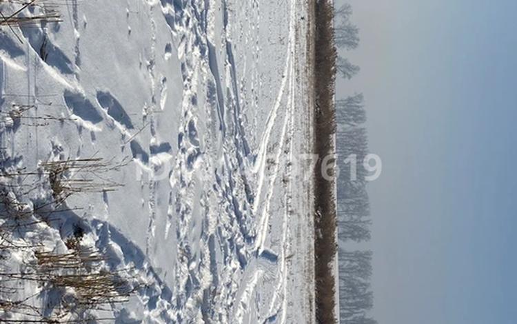 Жер телімі · 5 сотық, Алмалыбақ (КИЗ), бағасы: ~ 9 млн ₸ в  — фото 2