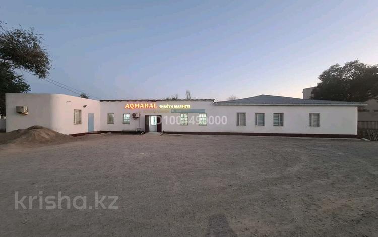 Дүкендер мен бутиктер, қоғамдық тамақтану орны · 186 м², бағасы: 37 млн ₸ в Форте-шевченко — фото 2
