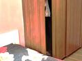 2-бөлмелі пәтер · 47 м² · 2/4 қабат, Желтоксан — Гоголя, бағасы: 270 000 ₸ в Алматы, Алмалинский р-н — фото 2