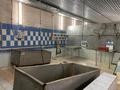 Свободное назначение · 1120 м² за 250 млн ₸ в Семее, Красный Кордон — фото 16