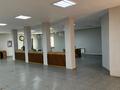Еркін · 390 м², бағасы: 2.5 млн ₸ в Северо-Казахстанской обл. — фото 22