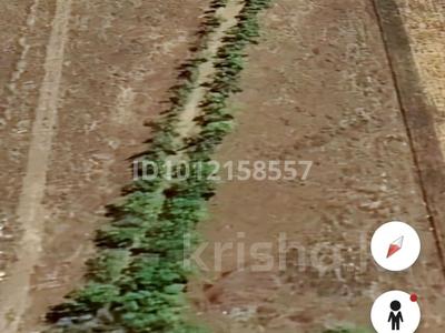 Бани, гостиницы и зоны отдыха · 10000 м² за 500 000 〒 в Конаеве