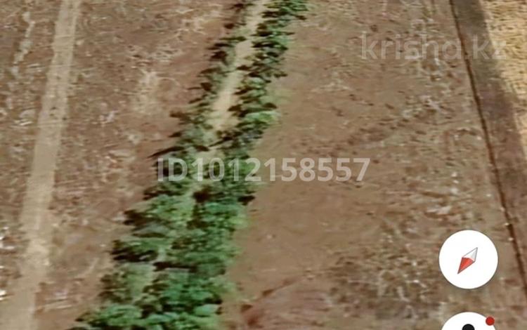 Монша, қонақ үй және демалыс орындары · 10000 м², бағасы: 500 000 ₸ в Конаеве — фото 2