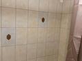 2-бөлмелі пәтер · 45 м² · 3/5 қабат, Назарбаева 43, бағасы: 50 млн ₸ в Алматы, Алмалинский р-н — фото 7