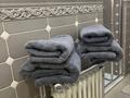 3-бөлмелі пәтер · 91 м² · 20/20 қабат, Достык 162 к5, бағасы: 40 000 ₸ в Алматы, Медеуский р-н — фото 3