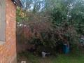 Жеке үй · 3 бөлме · 49.5 м² · 7.8 сот., Кожедуба 103, бағасы: 11.5 млн ₸ в Усть-Каменогорске — фото 4