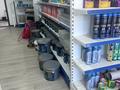 Магазины и бутики · 240 м² за 55 млн ₸ в Туркестанской обл., Шаян — фото 4