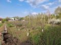 Отдельный дом · 7 комнат · 523 м² · 47 сот., Западная — Напротив стадиона за 299 млн ₸ в Есик — фото 7