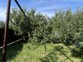 Отдельный дом · 5 комнат · 60.7 м² · 9 сот., С.Ахметова 71/2 — Куралай школа за 20 млн ₸ в им. Турара рыскуловой — фото 21