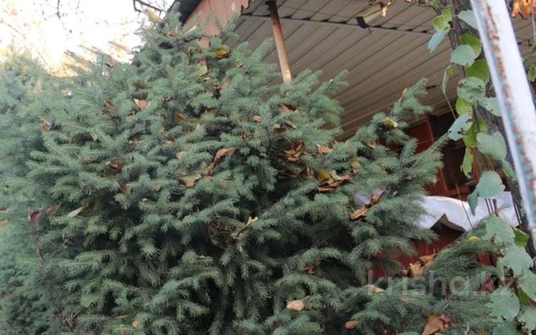 Часть дома · 4 комнаты · 67 м² · 9 сот., Сейфуллина за 51 млн 〒 в Абае — фото 2