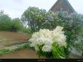 Жеке үй · 3 бөлме · 65 м² · 16 жүзд., Малиновая, бағасы: ~ 1.4 млн ₸ в Сарани — фото 10