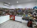 Магазины и бутики · 41.7 м² за 25 млн ₸ в Уральске, мкр. Зачаганск пгт — фото 3