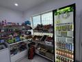 Магазины и бутики · 41.7 м² за 25 млн ₸ в Уральске, мкр. Зачаганск пгт — фото 7